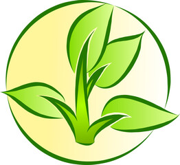 green leaf icon