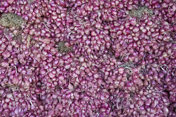 Piles of shallots or onions harvested by local farmers that are ready to be sold at the market or on the roadside directly to buyers.