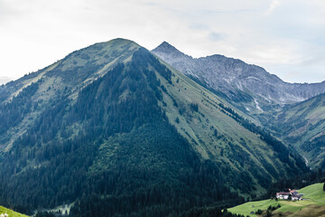 view of the Alps mountain austria.