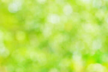 Natural blurred summer background of green foliage (abstract, bokeh)