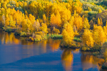 View of the autumn forest with yellow foliage on the river bank