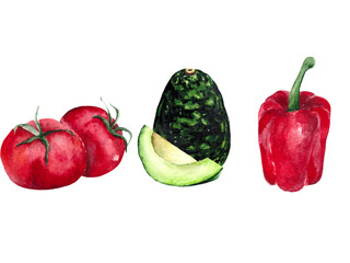 Watercolor collection of vegetables: tomatoes, avocado, red pepper. Bright hand-drawn isolated elements on a white background.