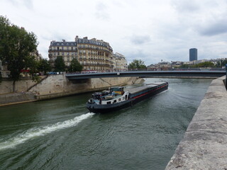 Fototapeta na wymiar Bateau Mouche sulla Senna a Parigi in Francia.