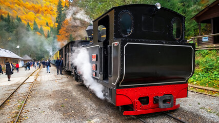 Steam train Mocanita at a railway station, Romania