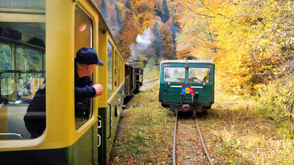Passenger leaned out of the window of the steam train Mocanita, Romania - obrazy, fototapety, plakaty