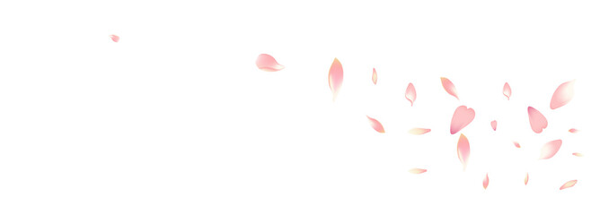 Fototapeta na wymiar White Lotus Petal Vector White Background. Pastel