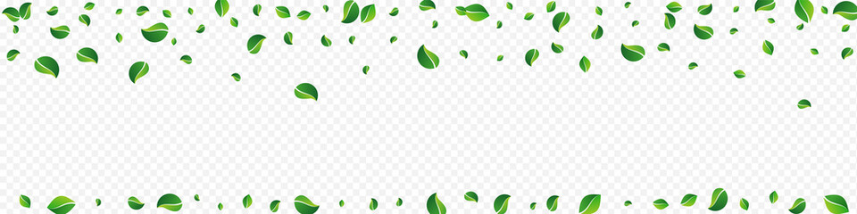 Mint Foliage Realistic Vector Panoramic