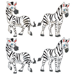 Fototapeta na wymiar Zebra cute cartoon illustration with 2 posing and colors