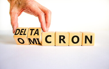 Covid-19 omicron or deltacron symbol. Doctor turns cubes and changes the word omicron to deltacron. Beautiful white background. Medical, covid-19 corona omicron or deltacron concept. Copy space.