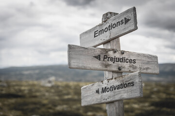 emotions prejudices motivations text on wooden sign outdoors.