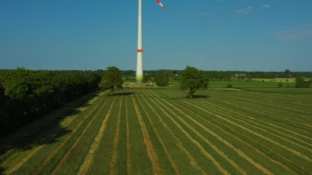Gras auf einem Feld gem&auml;ht, Vorbereitung f&uuml;r eine Grasernte