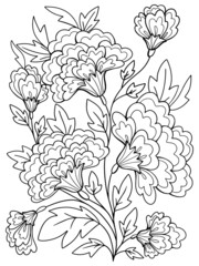 flowers graphics contour coloring for children and adults plants sketch hand-drawing on a white background isolate doodle anti-stress stroke
