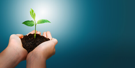 Hands holding young green plant on blue abstract background.