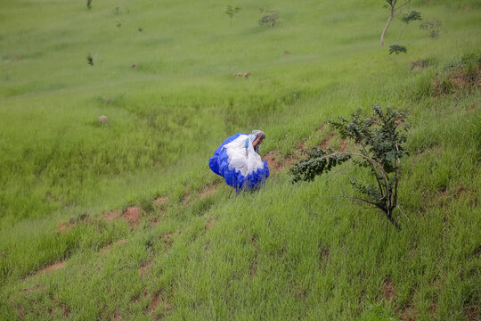 O parapente &eacute; semelhante a um paraquedas, pois tamb&eacute;m tem uma estrutura flex&iacute;vel e o utilizador est&aacute; suspenso.
