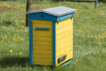 Wooden beehives for bees on green grass with yellow flowers. Old honey bee apiary. Spring countryside view.