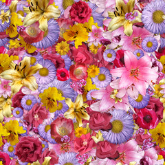 Sample seamless texture from a variety of flowers and inflorescences