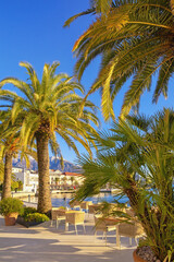Fototapeta na wymiar Beautiful winter Mediterranean landscape. Montenegro, Tivat city. View of embankment with palm trees on sunny day