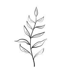 black and white leaves