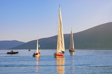 Colorful sailboats on water on sunny day. Montenegro, Adriatic Sea, Kotor Bay