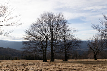 Trekking on a mountain trail