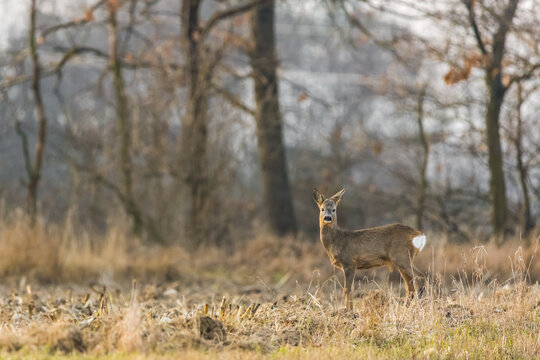 Photo by: Piotr Kobialka (https://www.instagram.com/invites/contact/?i=1|495hxywuve0&utm_content=3pyuqde)