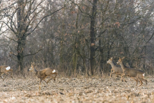 Photo by: Piotr Kobialka (https://www.instagram.com/invites/contact/?i=1|495hxywuve0&utm_content=3pyuqde)