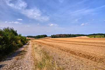 arable fields after harvest and paved road in summer i
