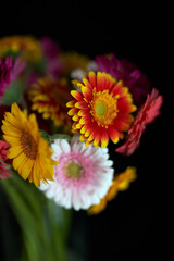Closeup beautiful bouquet of yellow red and pink flowers in glass vase isolated on black background. Valentine's day, 8 march or International women's day concept. Florist or botanical theme