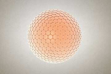 Compound eye 3D illustration, insect eyes