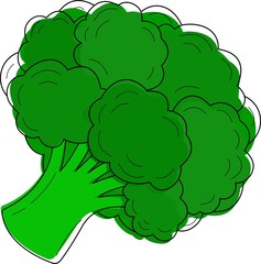 Vector illustration of cute broccoli. 