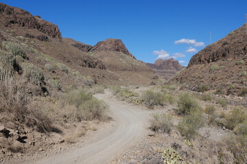 Halbwüste im Barranco de Fataga auf Gran Canaria
