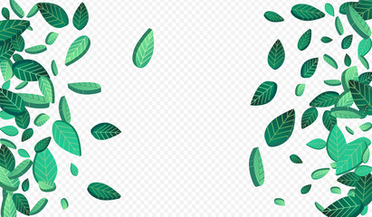 Mint Leaf Forest Vector Transparent Background © Natallia