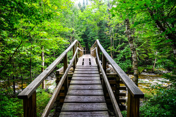 Bridge in the Adirondacks