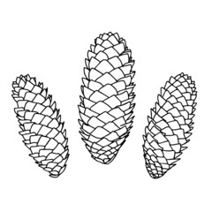 Contour drawing of pine cones isolated on a white background. Doodle style.