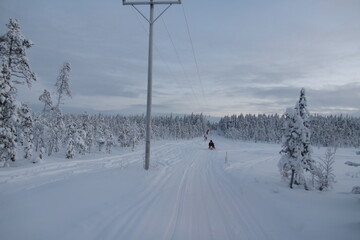 Snowmobile trip in lapland