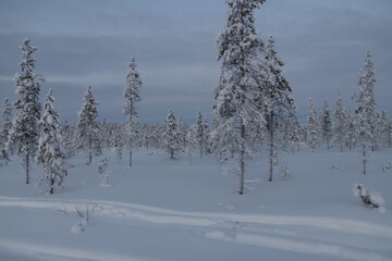 Landscape of lapland