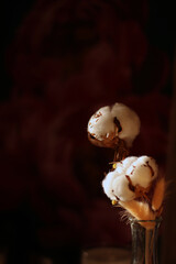 cotton in the vase