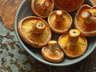 Saffron milk cap mushrooms on gray ceramic plate on rust iron background. Edible red pine mushroom...