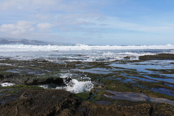 Felsenküste bzw. Felsenstrand in Las Palmas de Gran Canaria