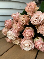 powder roses on the bench