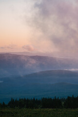 Fototapeta premium coniferous trees against the backdrop of foggy mountains