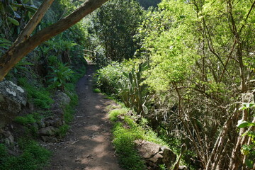 Wanderweg Gran Canaria