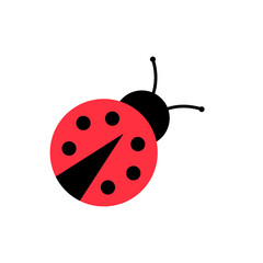 Ladybug icon  . Vector illustration