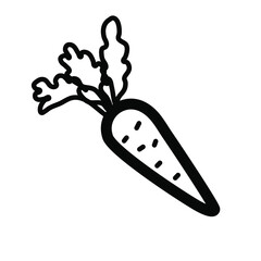 Doodle carrot. Hand drawn black and white outline carrot. Line art vegetable. Stock vector illustration on a white background.