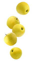 falling yellow apples isolated on a white background with a clipping path.