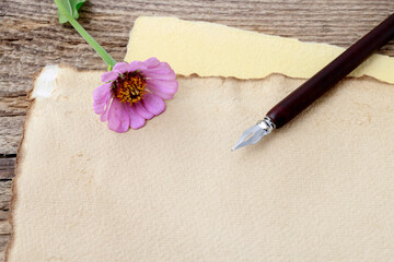 A single pink zinnia flower, vintage pen and old paper on wooden table.