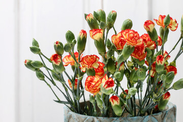 Bouquet of orange carnations on wooden background.