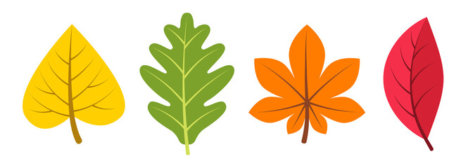 Leaves set. Leaves of autumn, spring and summer
