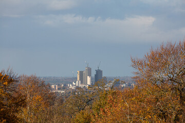 City of Guildford with high rise buildings through the trees seen from a distance. cranes on top of the building