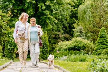 Fototapeta premium Senior mother and adult mature daughter with cute pet dog walking outdoor in summer park. Full length photo.